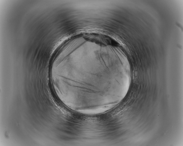 X0000097810438200804110955