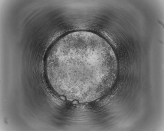 X0000097810439200804110955