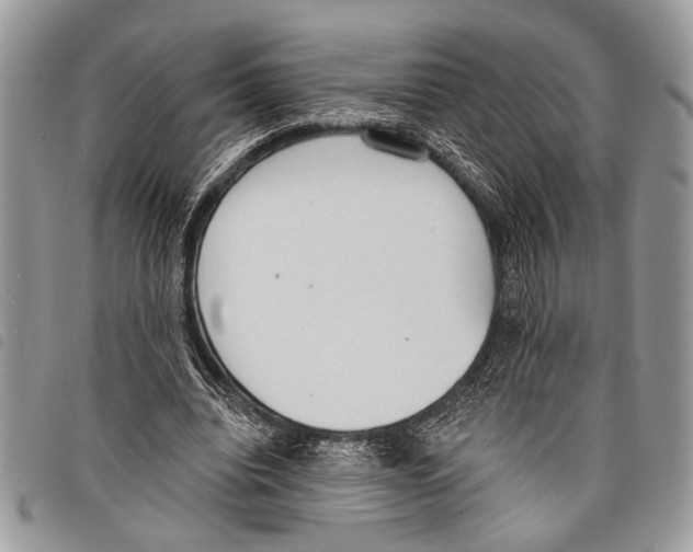 X0000097810440200804110955