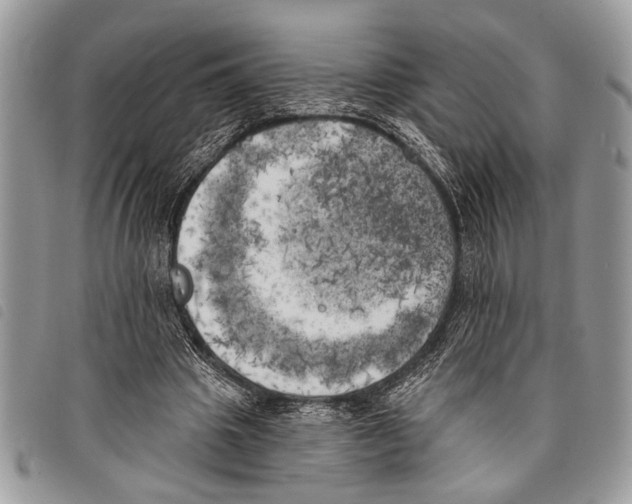 X0000097810441200804110955