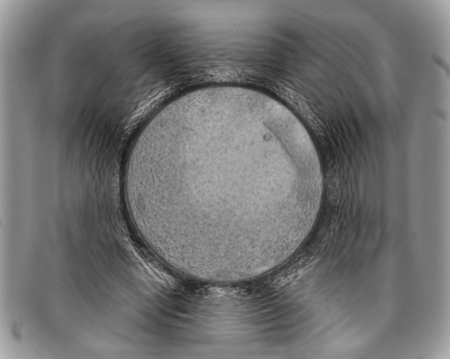 X0000097810442200804110955