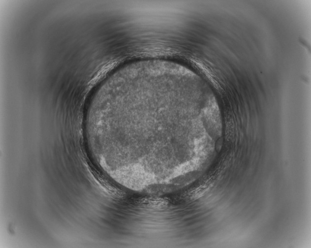 X0000097810443200804110955