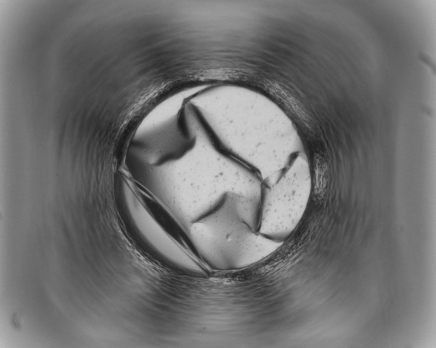 X0000097810444200804110955