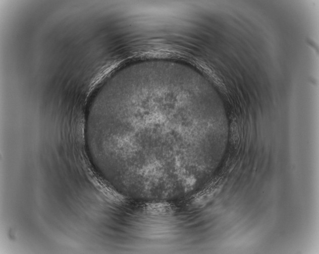 X0000097810446200804110955