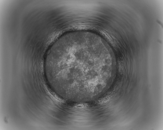 X0000097810447200804110955