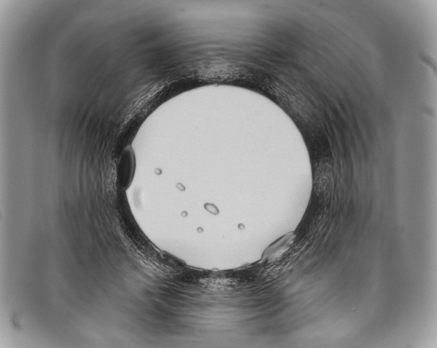 X0000097810448200804110955