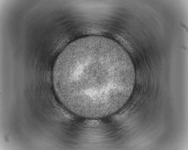 X0000097810449200804110955