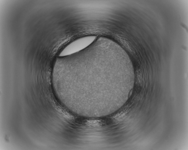 X0000097810450200804110955