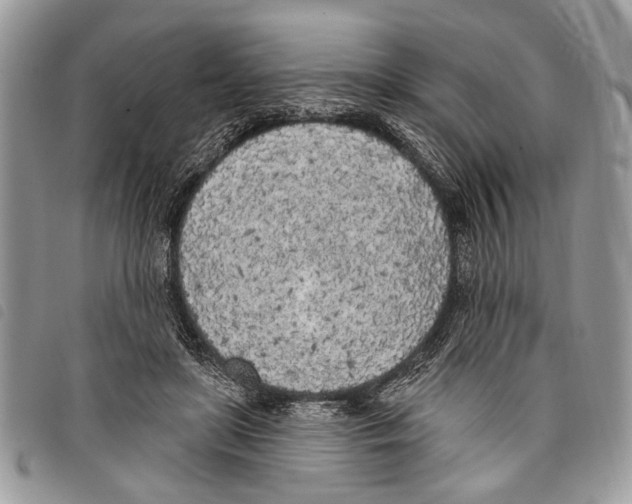 X0000097810451200804110955