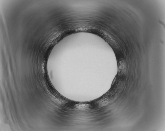 X0000097810452200804110955