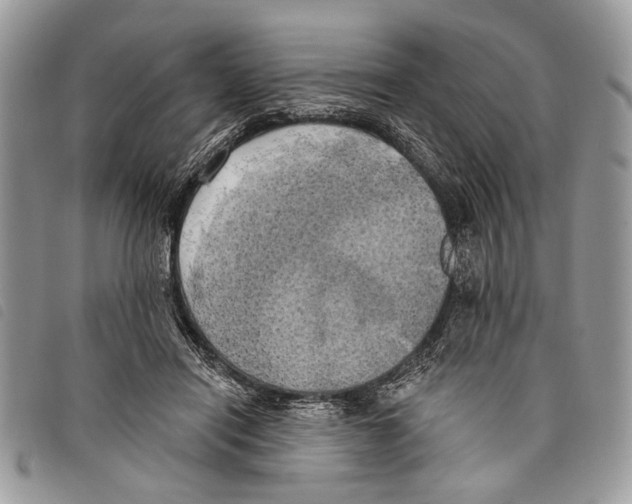 X0000097810454200804110955