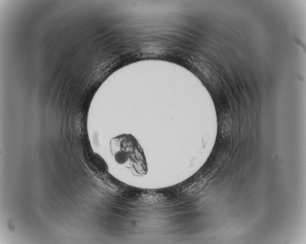 X0000097810455200804110955