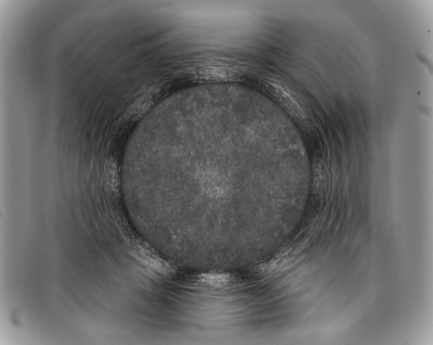 X0000097810457200804110955