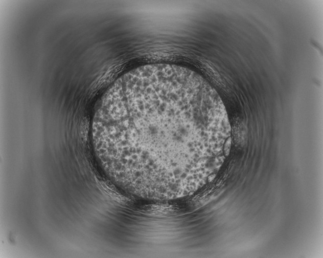 X0000097810458200804110955