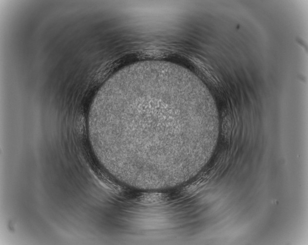 X0000097810459200804110955