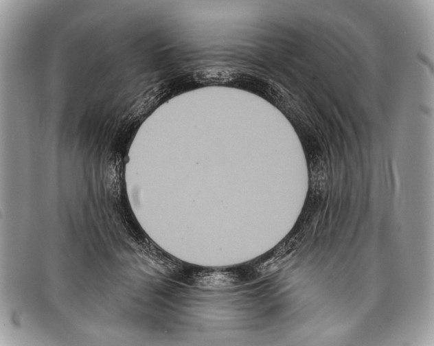 X0000097810460200804110955