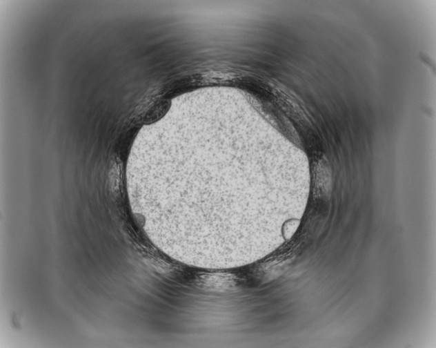 X0000097810463200804110955