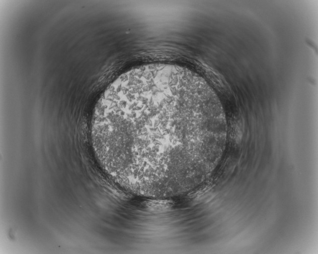 X0000097810465200804110955