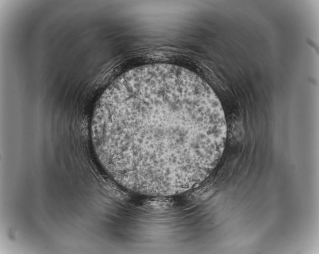 X0000097810466200804110955