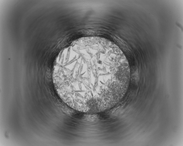 X0000097810469200804110955