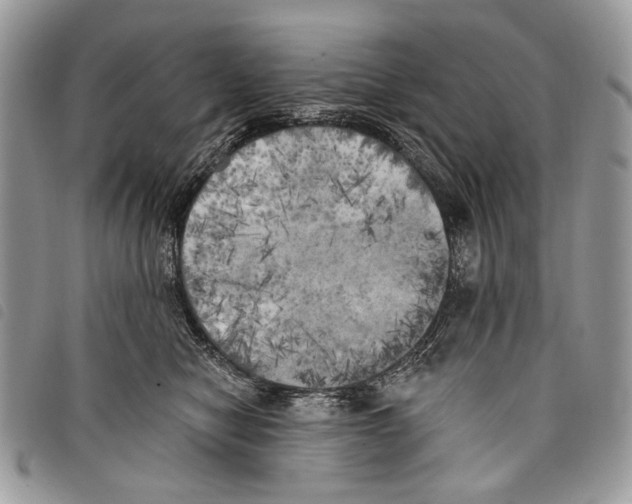 X0000097810470200804110955