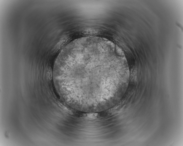 X0000097810474200804110955