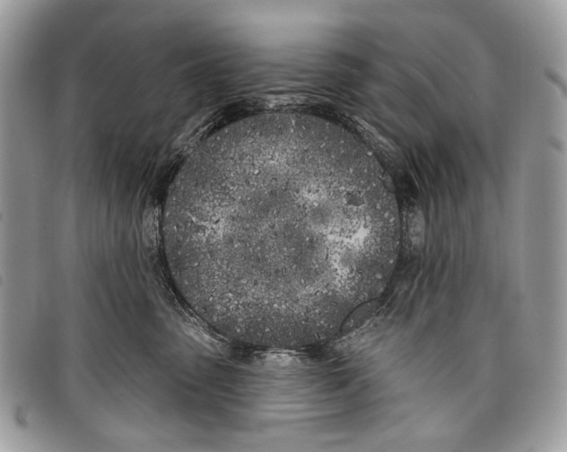 X0000097810475200804110955