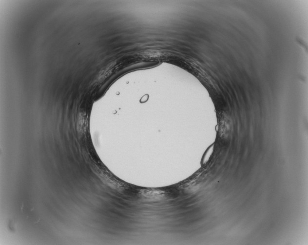 X0000097810476200804110956