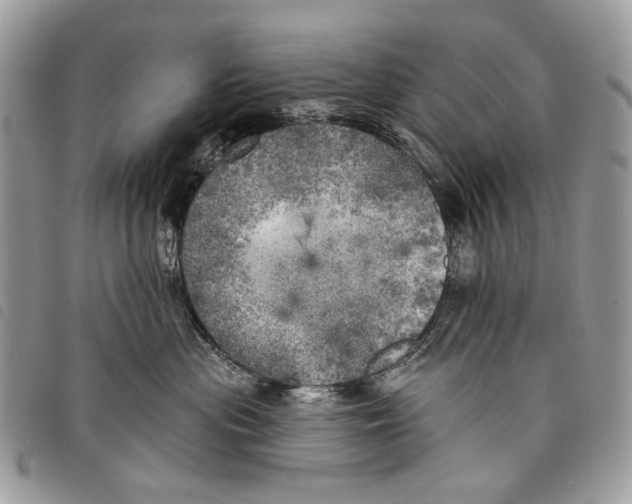 X0000097810477200804110956