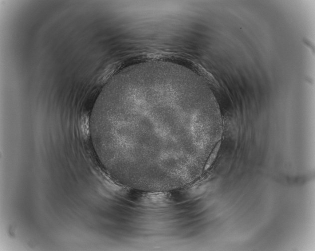 X0000097810479200804110956