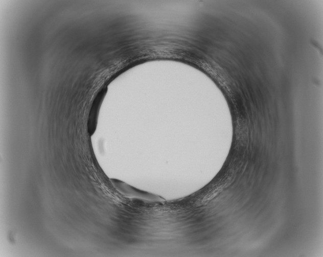 X0000097810481200804110955