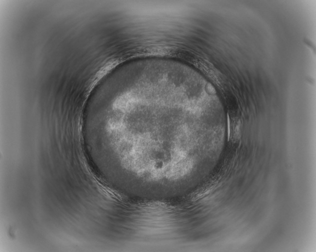 X0000097810483200804110955