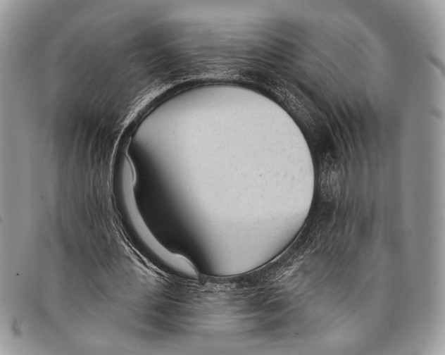 X0000097810484200804110955