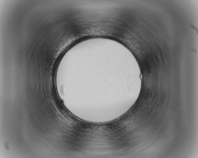 X0000097810488200804110954