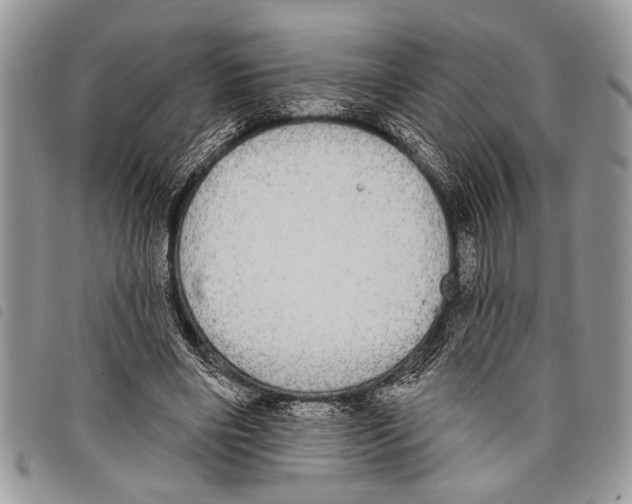 X0000097810490200804110954