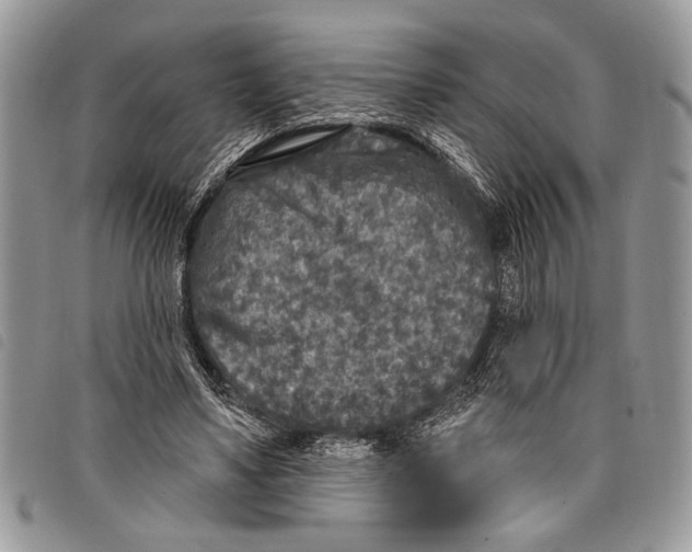 X0000097810491200804110954