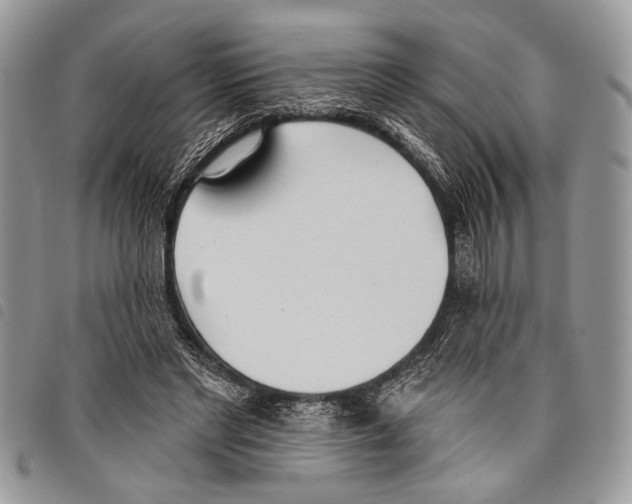 X0000097810493200804110954