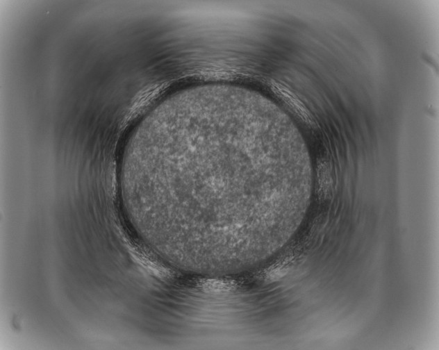 X0000097810494200804110954