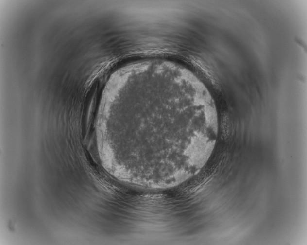 X0000097810495200804110954