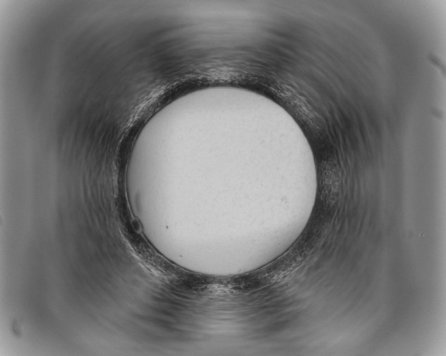 X0000097810496200804110954