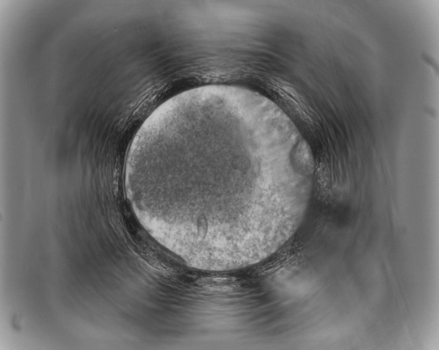 X0000097810499200804110954