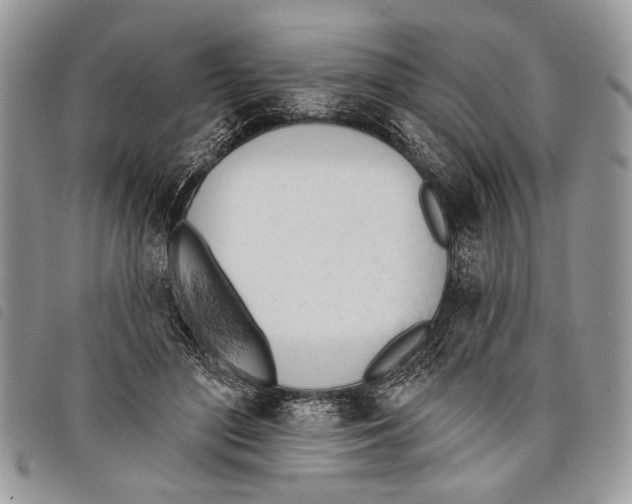 X0000097810500200804110954