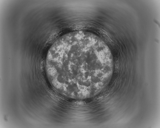 X0000097810503200804110954