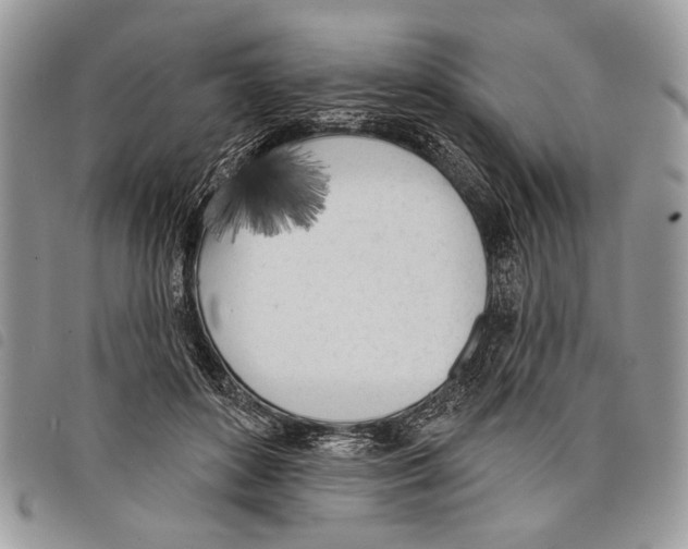 X0000097810504200804110954