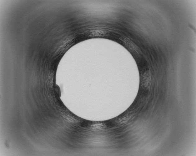 X0000097810505200804110954