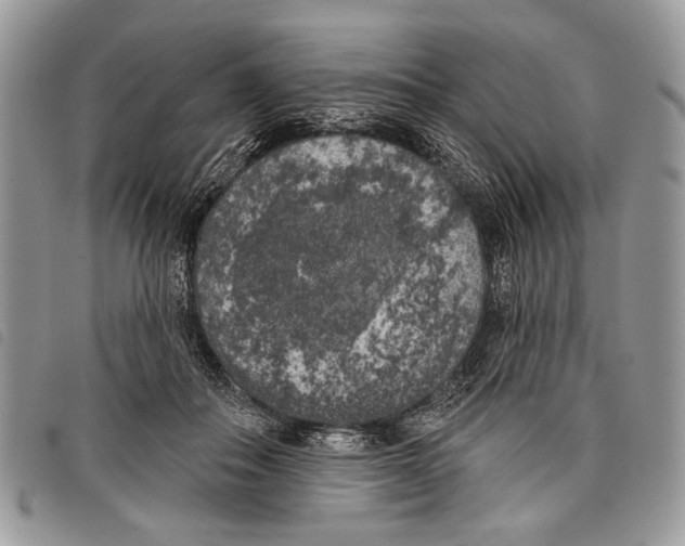 X0000097810506200804110954