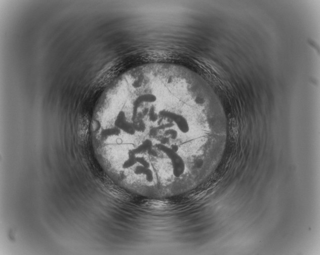 X0000097810507200804110954