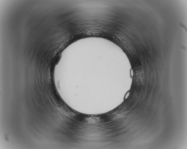 X0000097810508200804110954