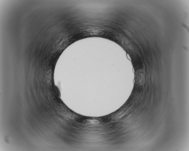 X0000097810509200804110954