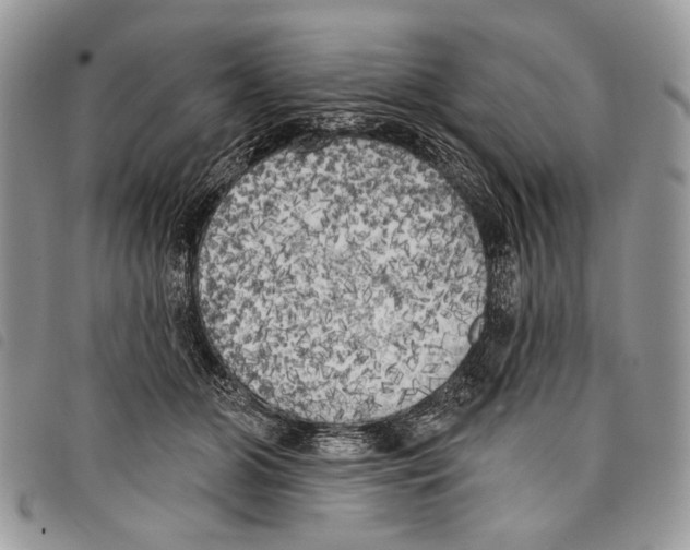 X0000097810510200804110954